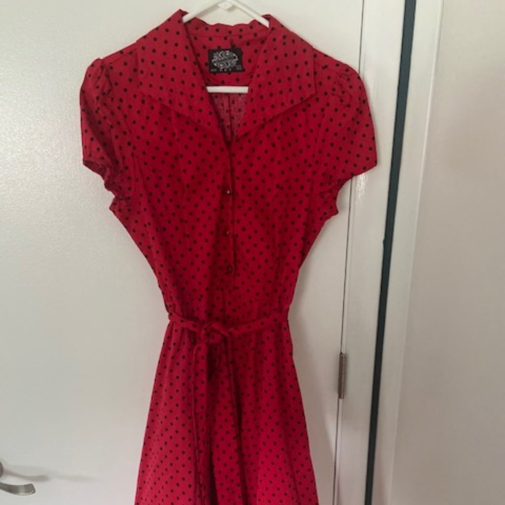 Hearts and Roses Swing Dress